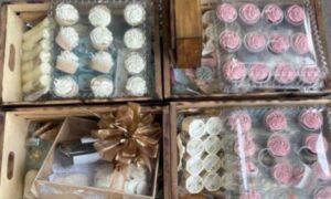 Aseguran en Nogales más de 300 mil pastillas de fentanilo ocultas en cajas de cupcakes